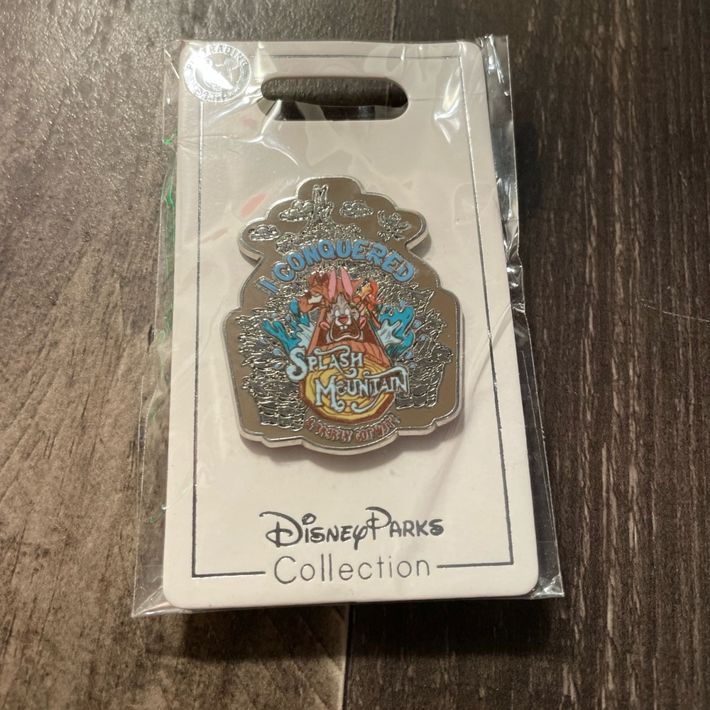 Discontinued Splash Mountain “I conquered Splash Mountain” Pin